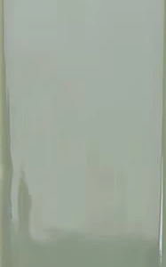132999_KALE GLOSS